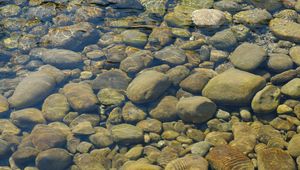 Превью обои камни, вода, прозрачный, водоем, дно