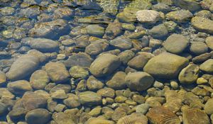 Превью обои камни, вода, прозрачный, водоем, дно