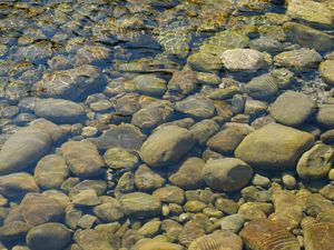 Превью обои камни, вода, прозрачный, водоем, дно