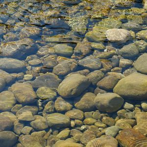 Превью обои камни, вода, прозрачный, водоем, дно