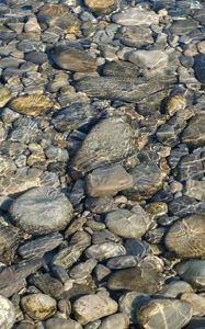 Превью обои камни, вода, рябь, прозрачный