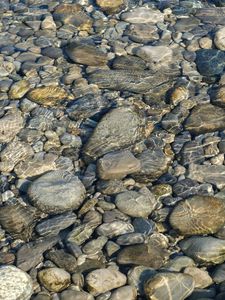 Превью обои камни, вода, рябь, прозрачный