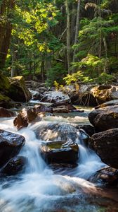 Превью обои камни, вода, ручей, деревья, природа