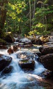 Превью обои камни, вода, ручей, деревья, природа