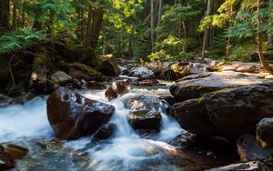 Превью обои камни, вода, ручей, деревья, природа