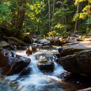 Превью обои камни, вода, ручей, деревья, природа