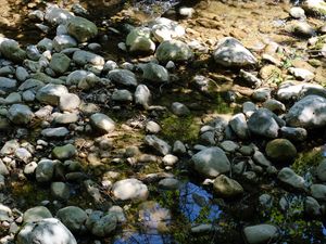 Превью обои камни, вода, тени, ручей, мох