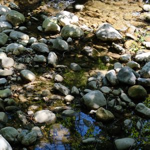 Превью обои камни, вода, тени, ручей, мох