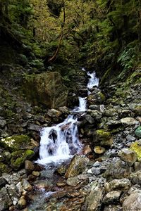 Превью обои камни, водопад, деревья, природа