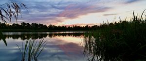 Превью обои камыши, озеро, сумерки, пейзаж, природа