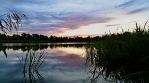 Превью обои камыши, озеро, сумерки, пейзаж, природа