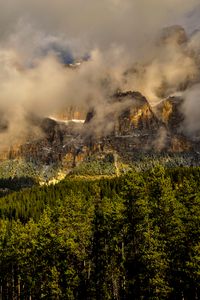 Превью обои канада, banff national park, горы, туман, трава