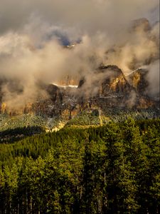 Превью обои канада, banff national park, горы, туман, трава