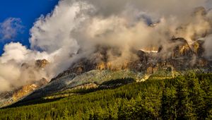 Превью обои канада, banff national park, горы, туман, трава