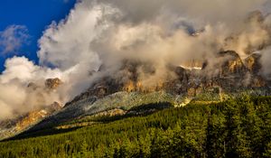 Превью обои канада, banff national park, горы, туман, трава