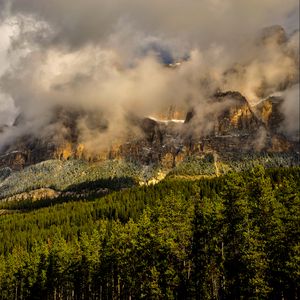 Превью обои канада, banff national park, горы, туман, трава