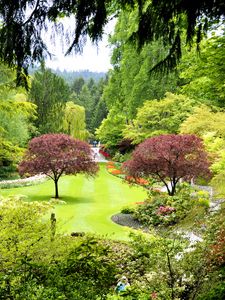 Превью обои канада, butchart gardens, деревья, сад