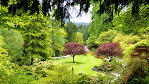 Превью обои канада, butchart gardens, деревья, сад