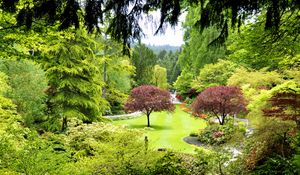 Превью обои канада, butchart gardens, деревья, сад