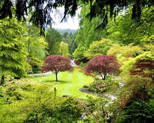 Превью обои канада, butchart gardens, деревья, сад