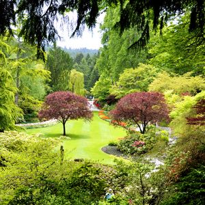 Превью обои канада, butchart gardens, деревья, сад