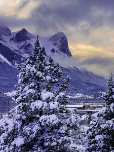 Превью обои канада, горы, alberta, banff national park, снег, зима