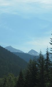 Превью обои канада, горы, деревья, небо