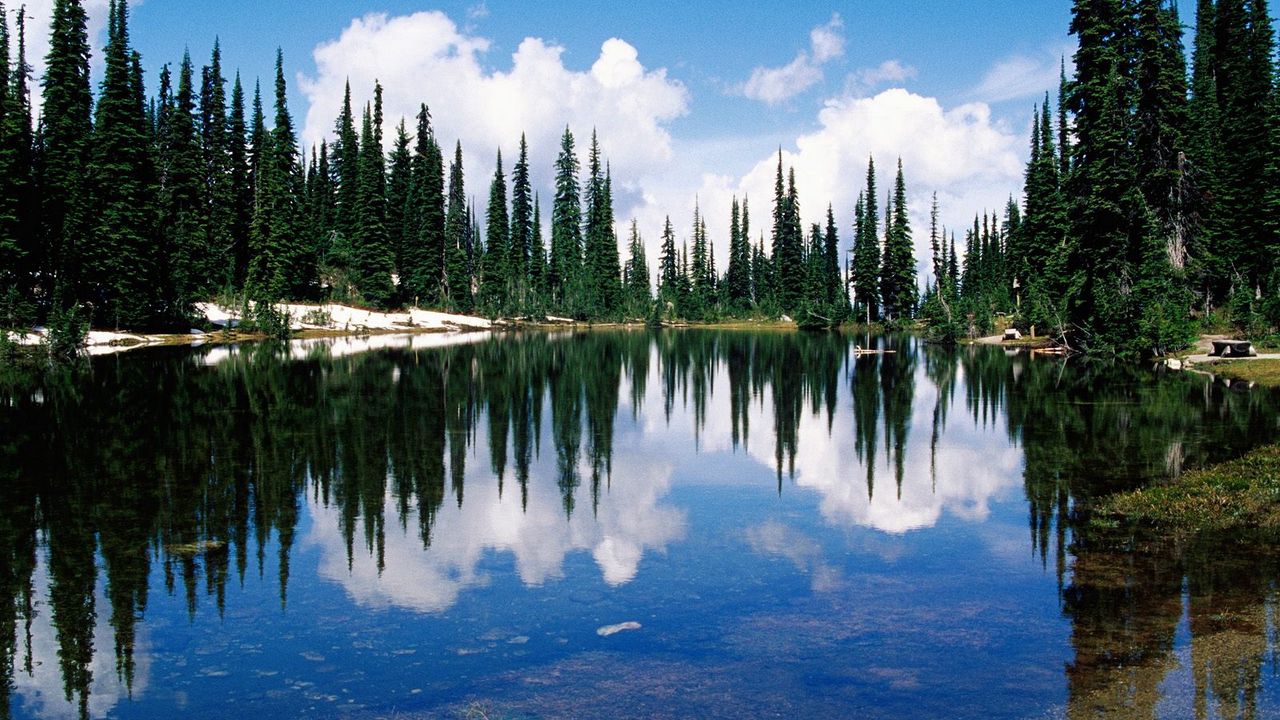 Обои канада, озеро, берег, деревья, хвойные, вода, прозрачная, отражение