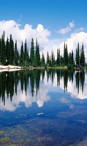 Превью обои канада, озеро, берег, деревья, хвойные, вода, прозрачная, отражение