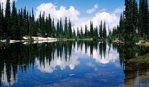 Превью обои канада, озеро, берег, деревья, хвойные, вода, прозрачная, отражение