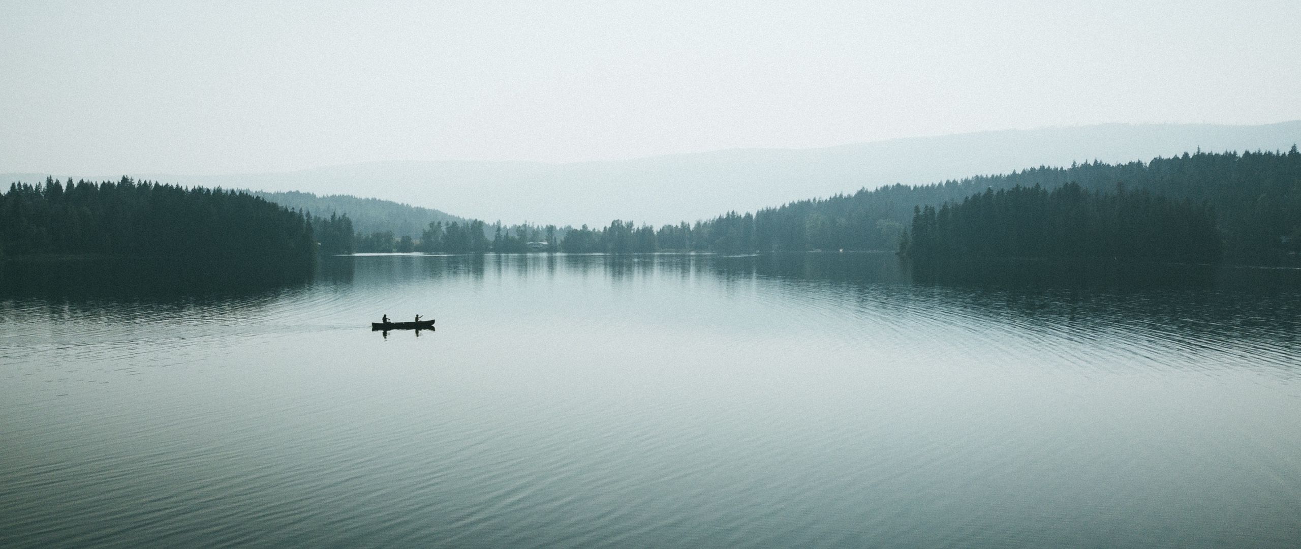 Лес с озера туман вид с лодки картинки