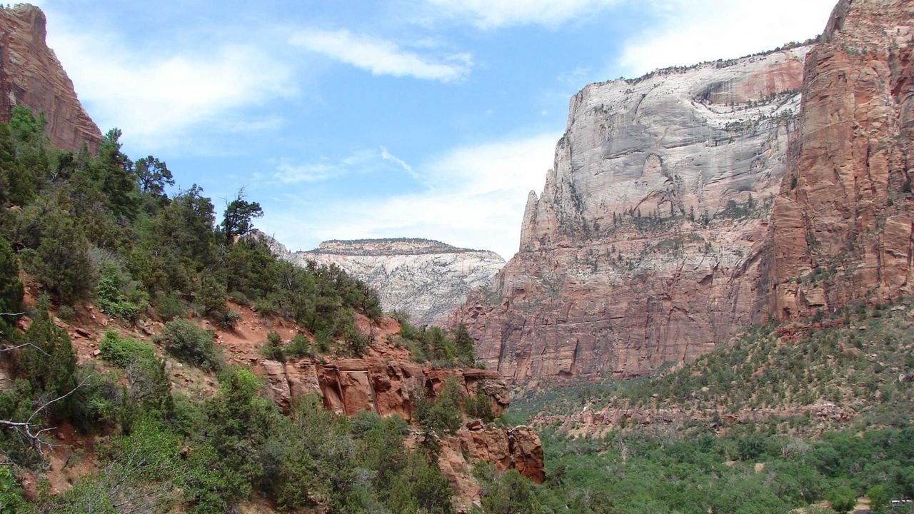 Обои каньон, обрыв, высота, растительность, кустарники, деревья, стена