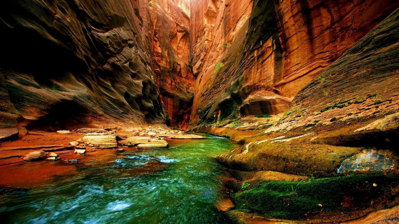Обои каньон, ущелье, река, мох, зелень