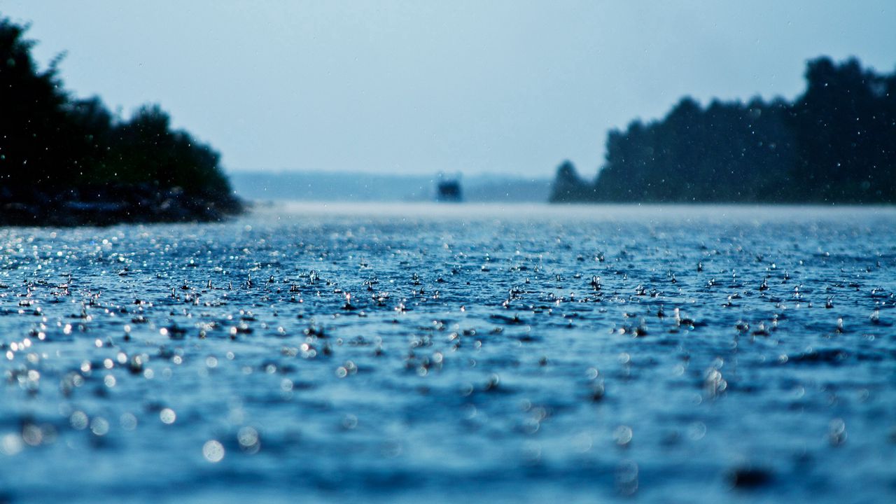Обои капли, дождь, поверхность, вода, осадки