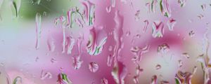 Превью обои капли, дождь, стекло, размытие, макро, розовый, зеленый