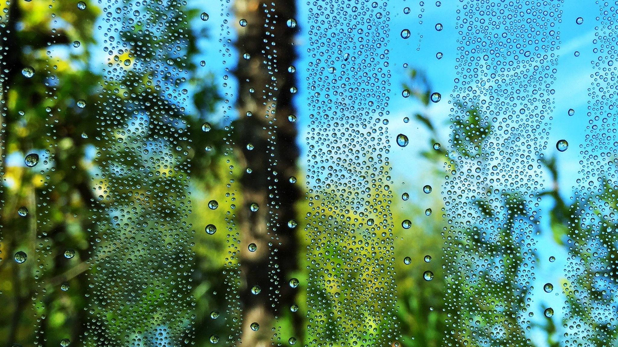 Зеленые стекла слова. Капли на стекле. Капельки воды на стекле. Капли дождя на стекле. Капли на зеленом стекле.