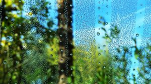Превью обои капли, стекло, пальма, размытость, макро
