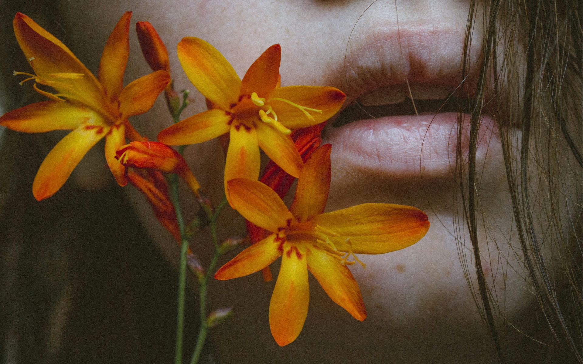 1920x1200 Обои губы, цветок, таинство, нежность