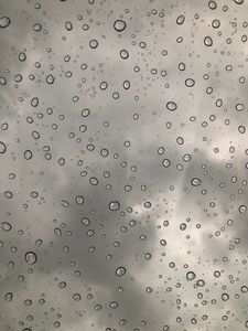 Превью обои капли, вода, чб, макро, мокрый