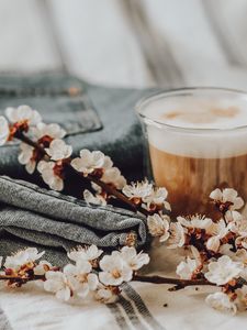 Превью обои капучино, цветы, цветение, натюрморт