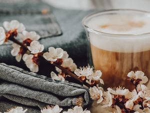 Превью обои капучино, цветы, цветение, натюрморт
