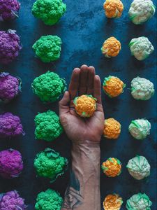 Превью обои капуста, рука, разноцветный