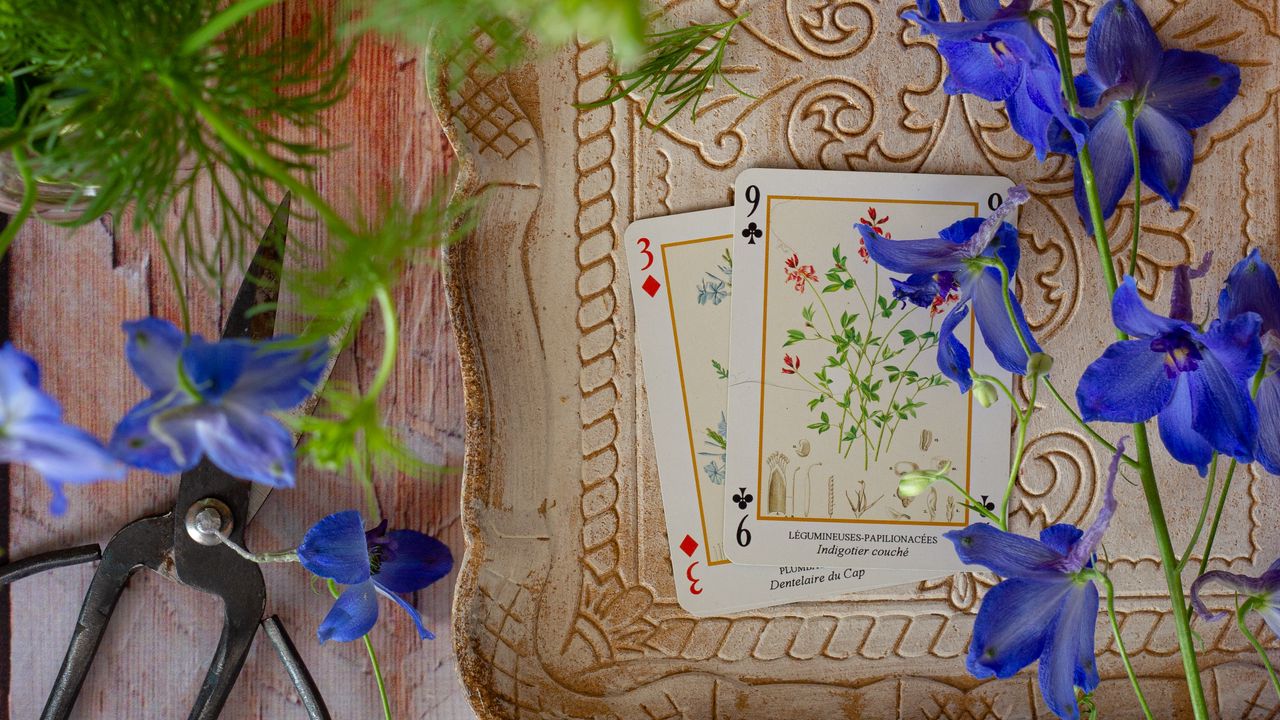 Обои карты, цветы, ножницы, деревянный, натюрморт