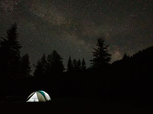 Превью обои кемпинг, палатка, деревья, ель, звездное небо, звезды