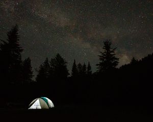 Превью обои кемпинг, палатка, деревья, ель, звездное небо, звезды