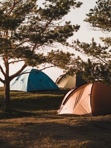 Превью обои кемпинг, палатки, деревья, отдых