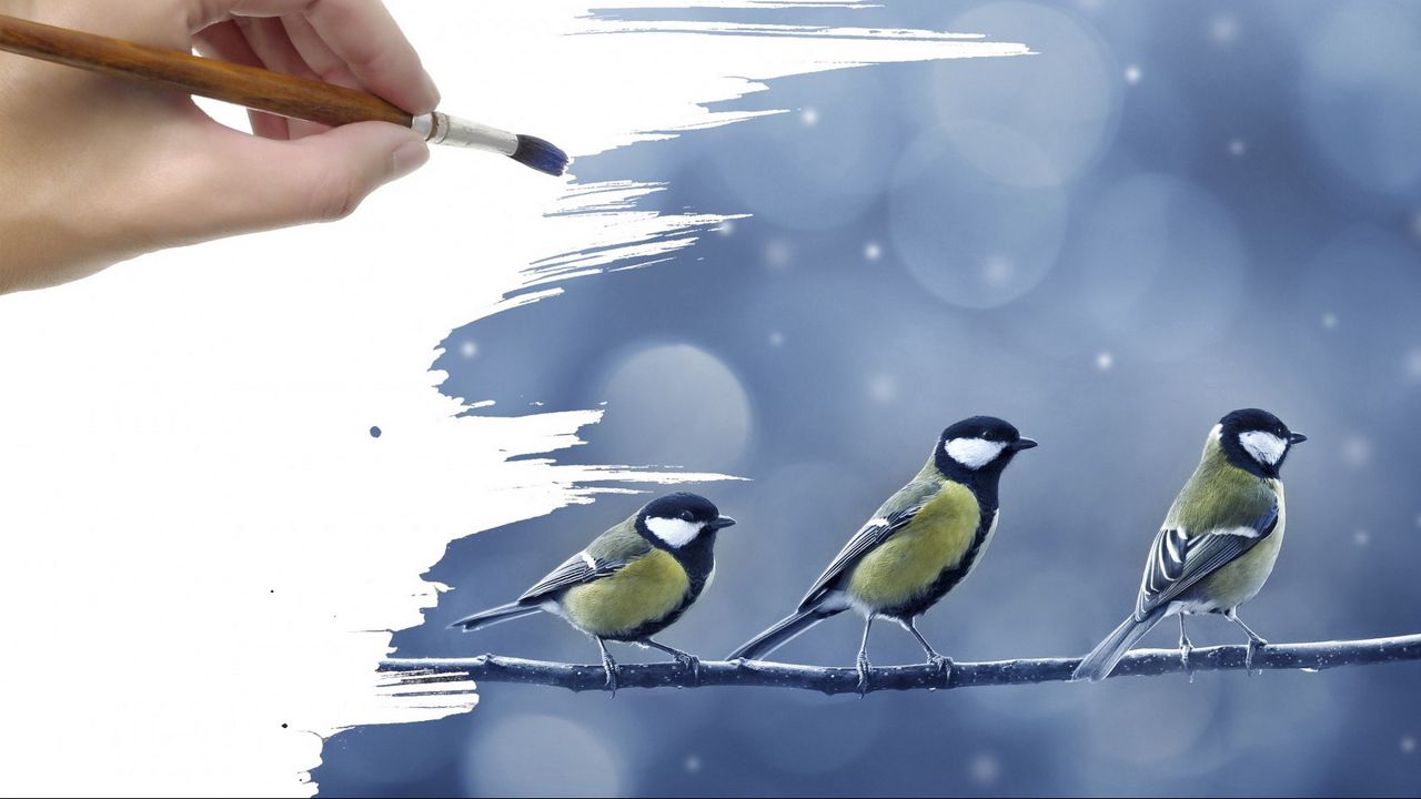 Обои кисть, рука, рисунок, ветка, синицы, птички, снег