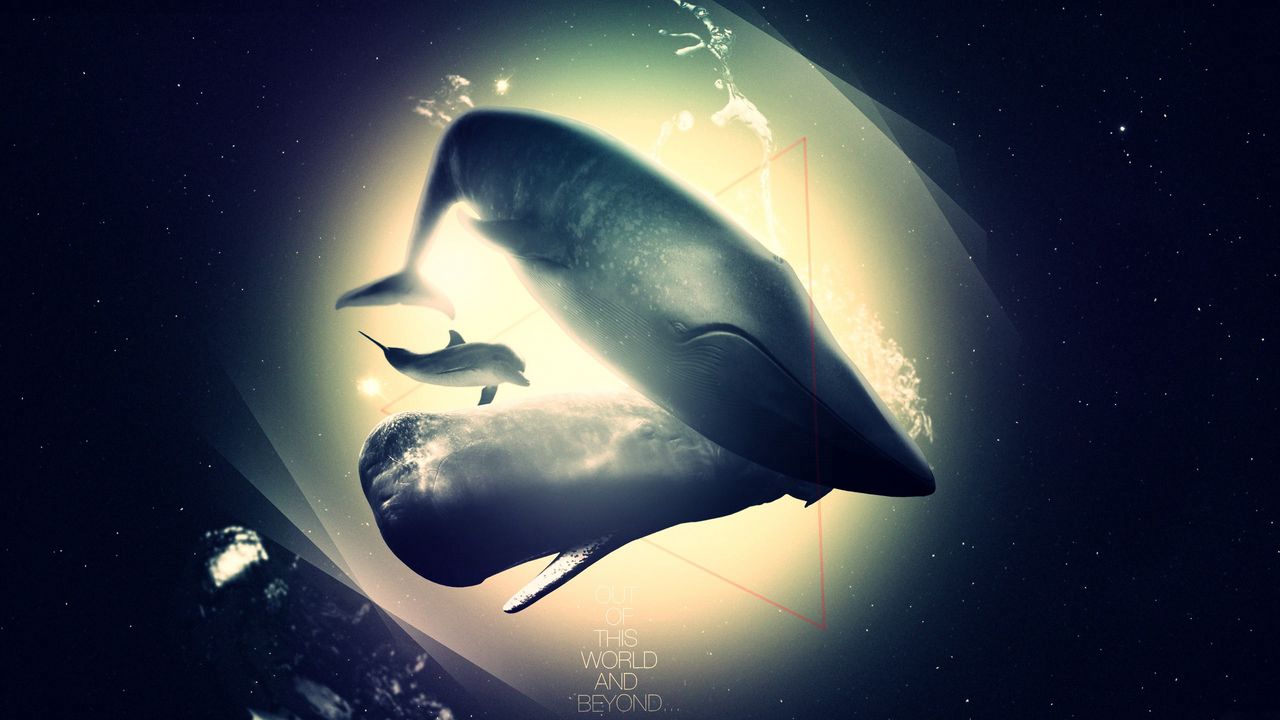 Обои кит, дельфин, бездна, свет, тень