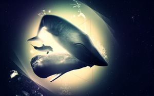 Превью обои кит, дельфин, бездна, свет, тень
