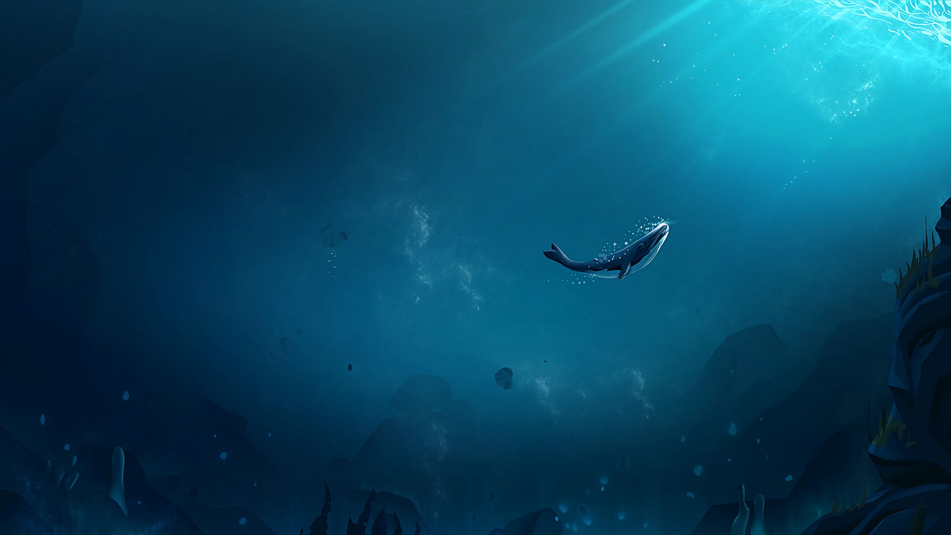 Скачать 1920x1080 кит, океан, подводный мир, пузырьки воздуха, дно, лучи  света обои, картинки full hd, hdtv, fhd, 1080p